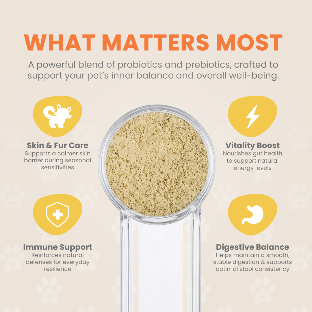 Sammy’s™ Advanced Probiotic + Prebiotic Powder (60gram)