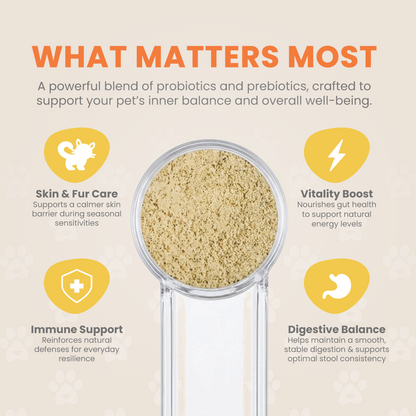 Sammy’s™ Advanced Probiotic + Prebiotic Powder (60gram)