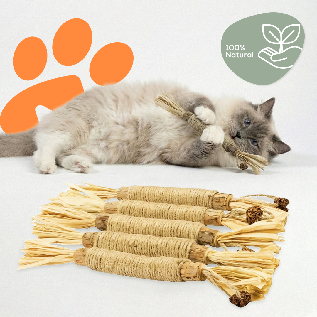 Sammy's Dental Sticks