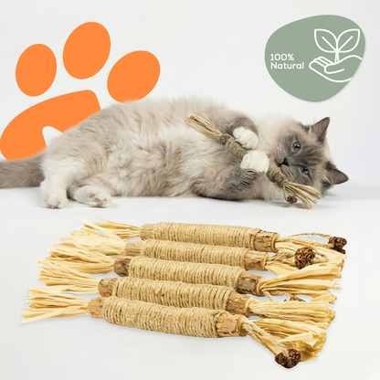 Sammy's Dental Sticks