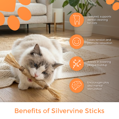 Sammy's Dental Sticks