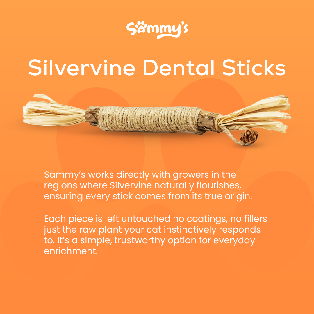 Sammy's Dental Sticks