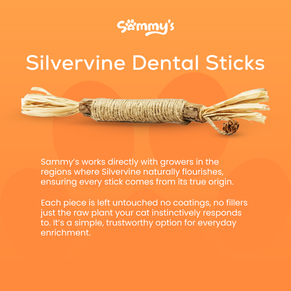 Sammy's Dental Sticks